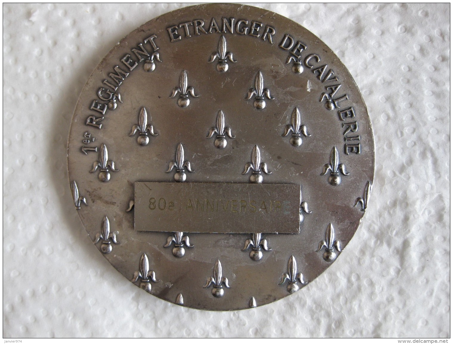 Médaille 1er Régiment Etranger De Cavalerie. - Autres & Non Classés