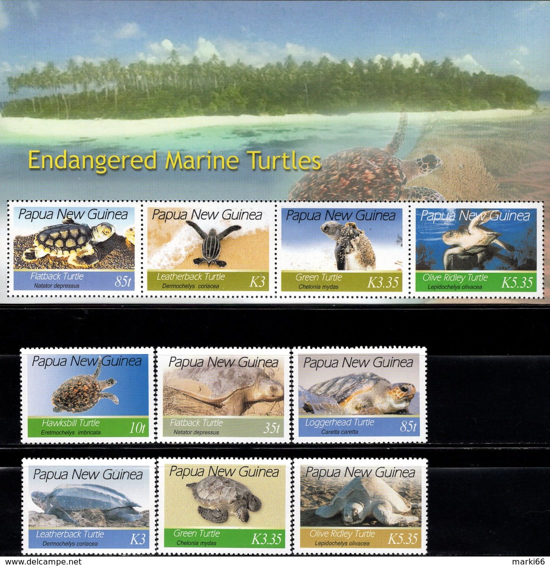 Papua New Guinea - 2007 - Endangered Marine Turtles - Mint Stamp Set + Souvenir Sheet - Papúa Nueva Guinea