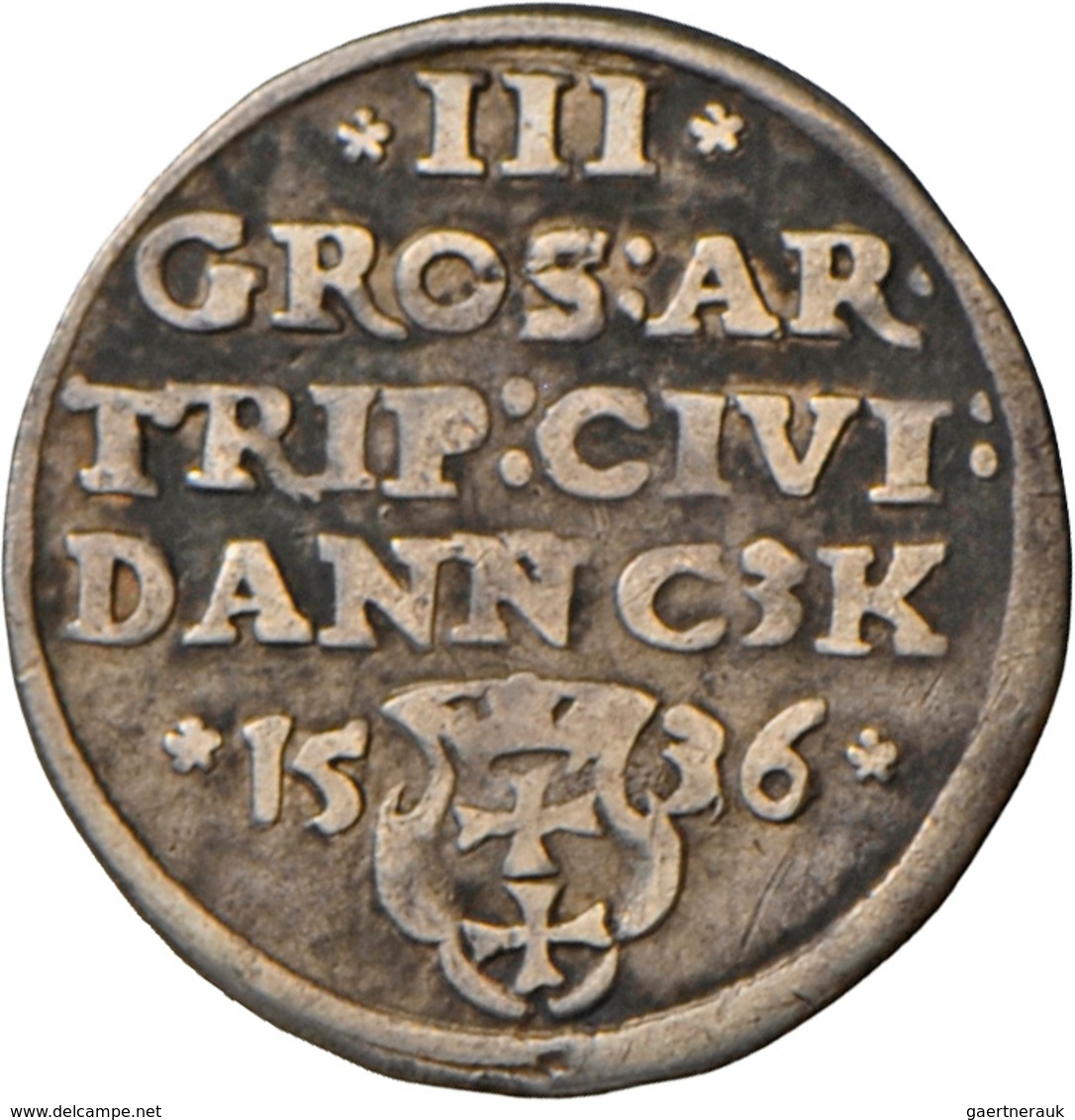 Polen: Danzig, Sigismund I. 1506-1548: Dreigröscher (Trojak) 1536. Gekrönte Büste Nach Rechts / Wert - Pologne