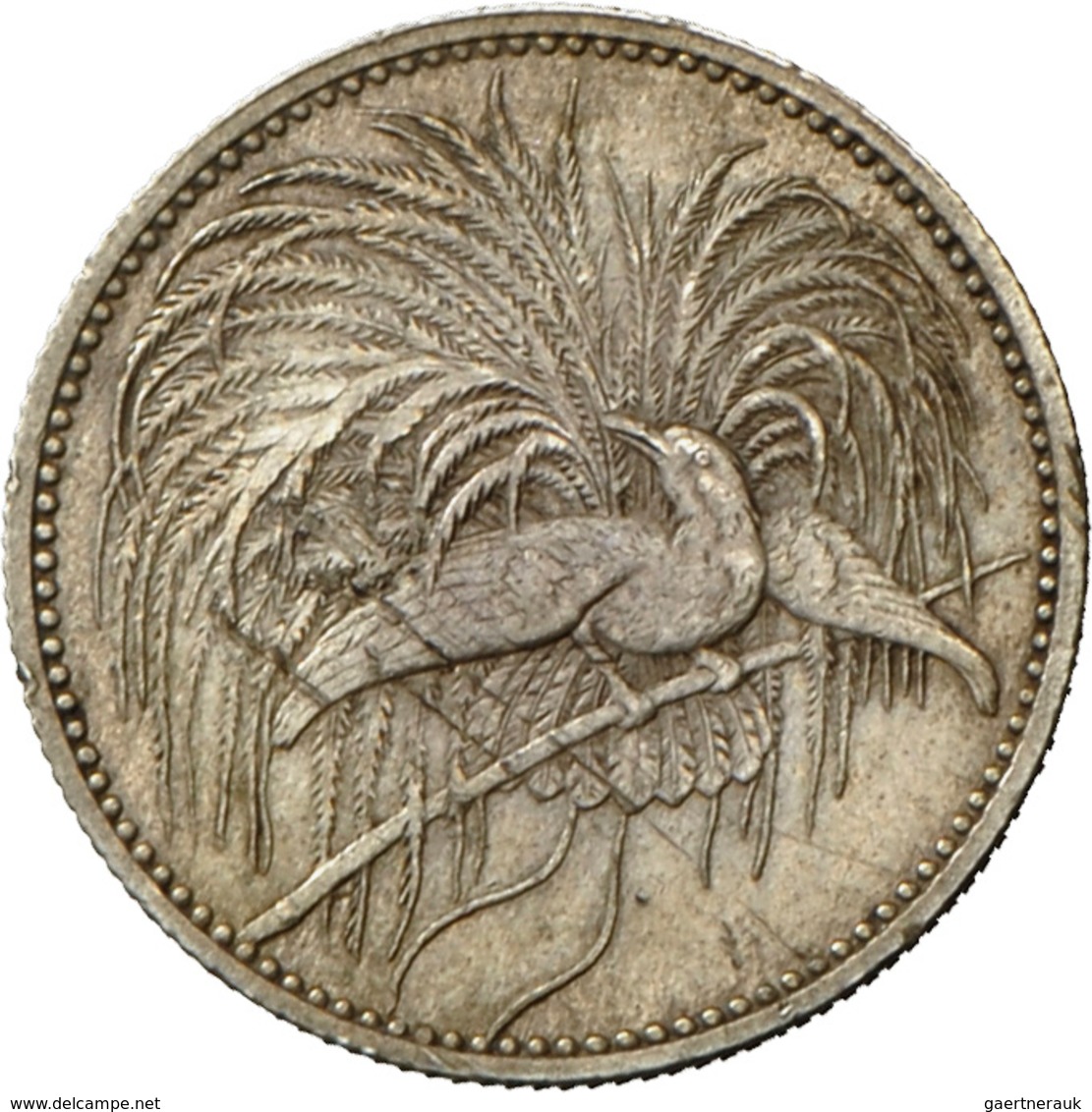 Deutsch-Neuguinea: ½ Neu-Guinea Mark 1894 A, Jaeger 704, Kratzer, Sehr Schön - Vorzüglich. - Nuova Guinea Tedesca