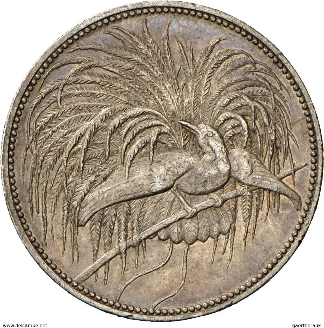 Deutsch-Neuguinea: 5 Neu-Guinea Mark 1894 A, Paradiesvogel, Jaeger 707, Kratzer, Sehr Schön. - Nouvelle Guinée Allemande