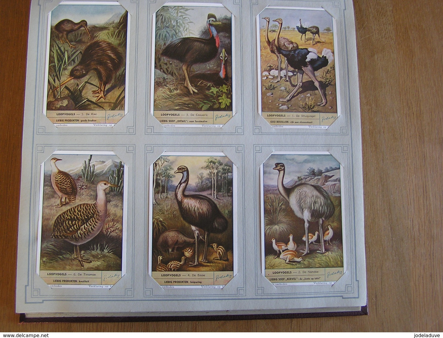 LOOPVOGELS Oiseaux Emeu Autruche Birds Liebig Série Reeks 6 Chromos Nederlandse Taal Trading Cards Chromo - Liebig