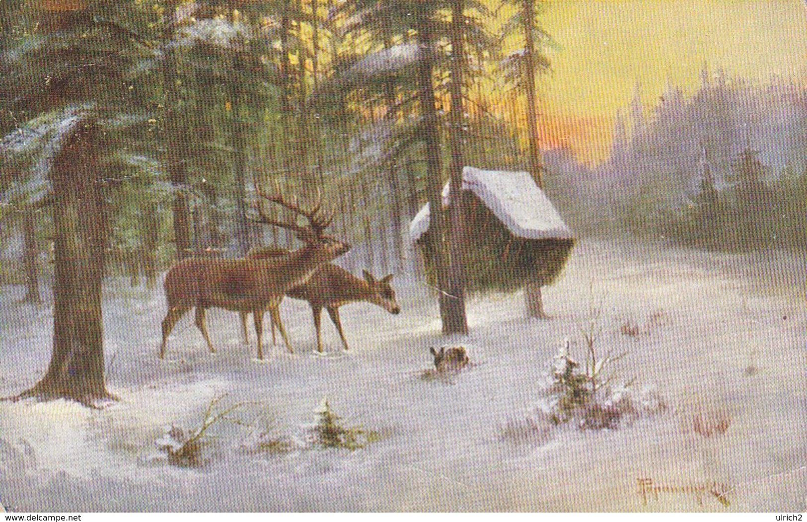 AK Rehe Im WInter Bei Der Futterstelle - Feldpost - 1916 (34572) - Sonstige & Ohne Zuordnung