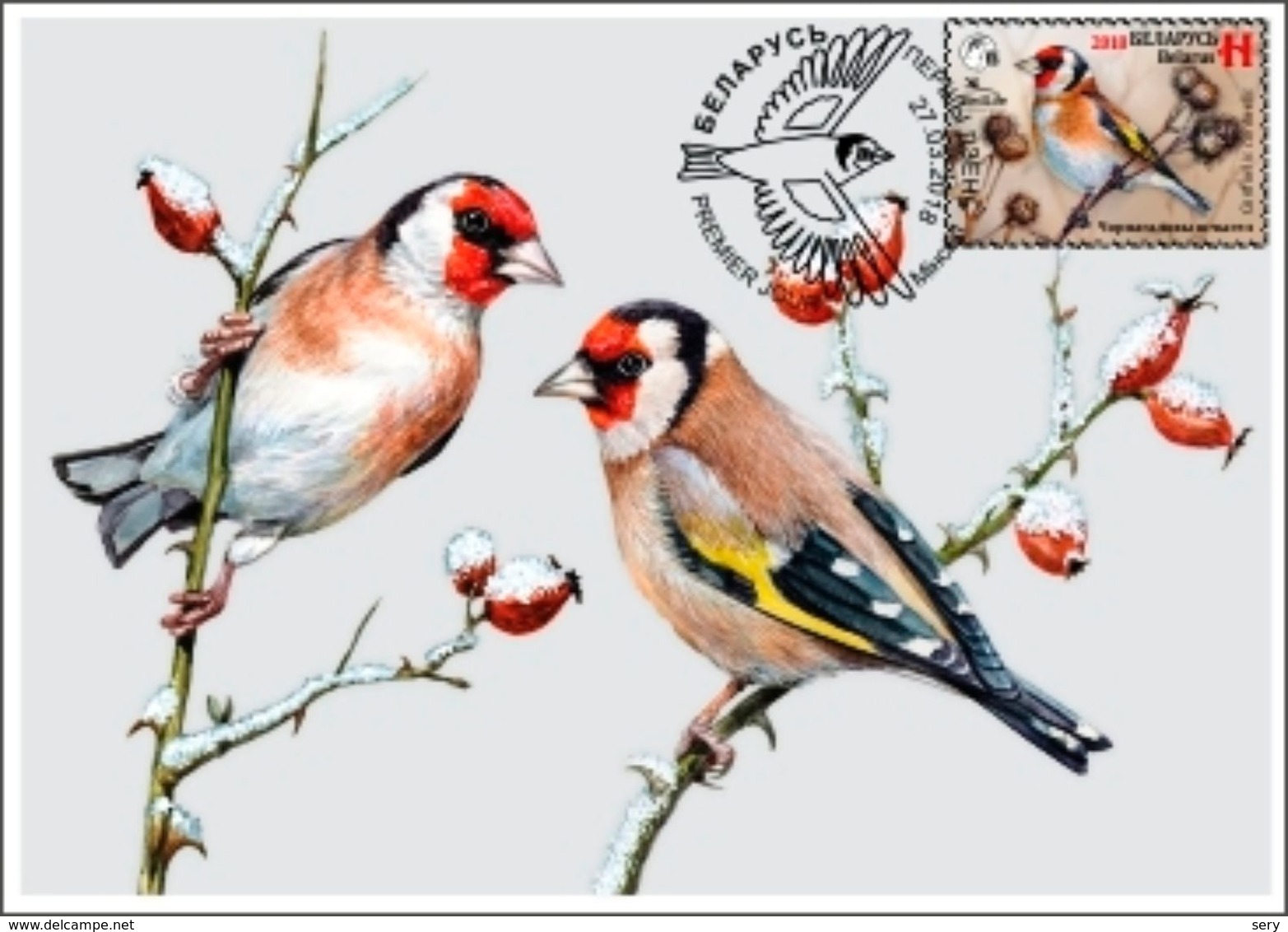 Belarus 2018 MC Maximum Card Bird Of The Year Black-headed Goldfinch Le Chardonneret Bird Birds Oiseau Oiseaux - Other & Unclassified