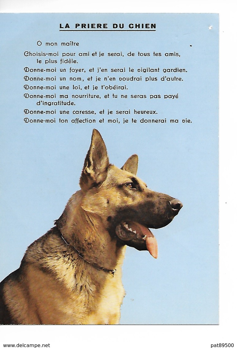 La Priere Du Chien - Berger Allemand/ CPM Neuve N° 3129 Imprimée En Suisse / Un Trou De Punaise Petit Prix - Hunde