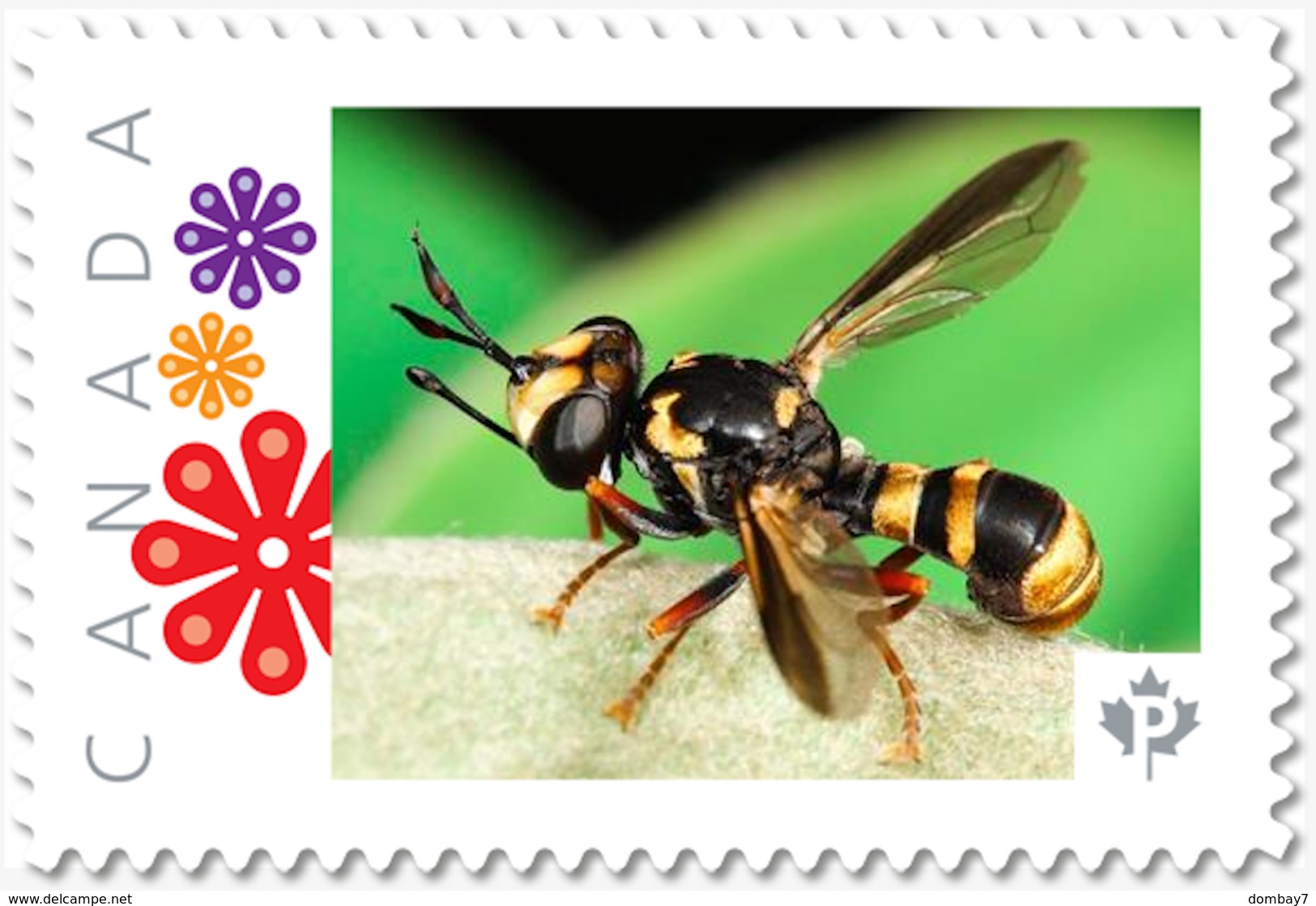 BEE, WASP, INSECTS Custom/Personalized Postage Stamp MNH Canada 2018 [p18-05sn1] - Honeybees