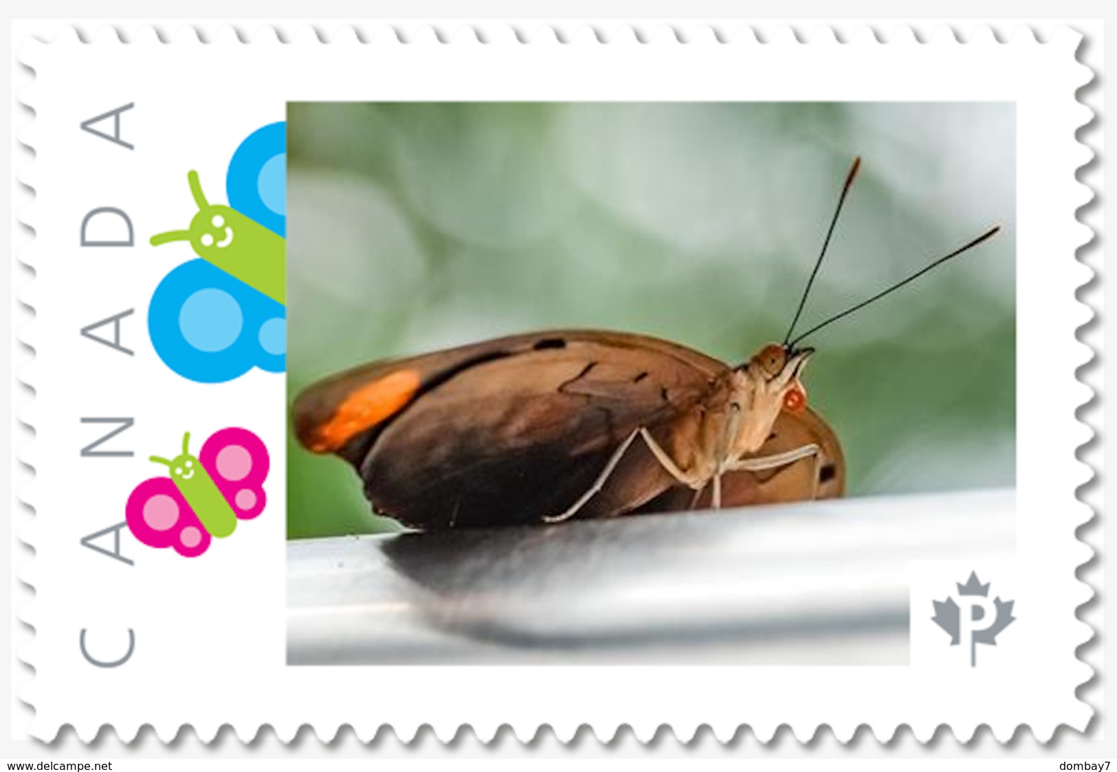 BUTTERFLY Custom/Personalized Postage Stamp MNH Canada 2018 [p18-05sn13] - Papillons
