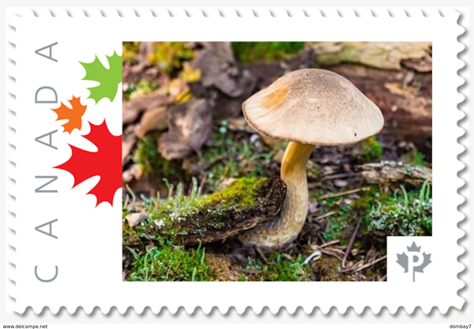 MUSHROOM Personalized Postage Stamp MNH Canada 2018 [p18-05sn16] - Mushrooms