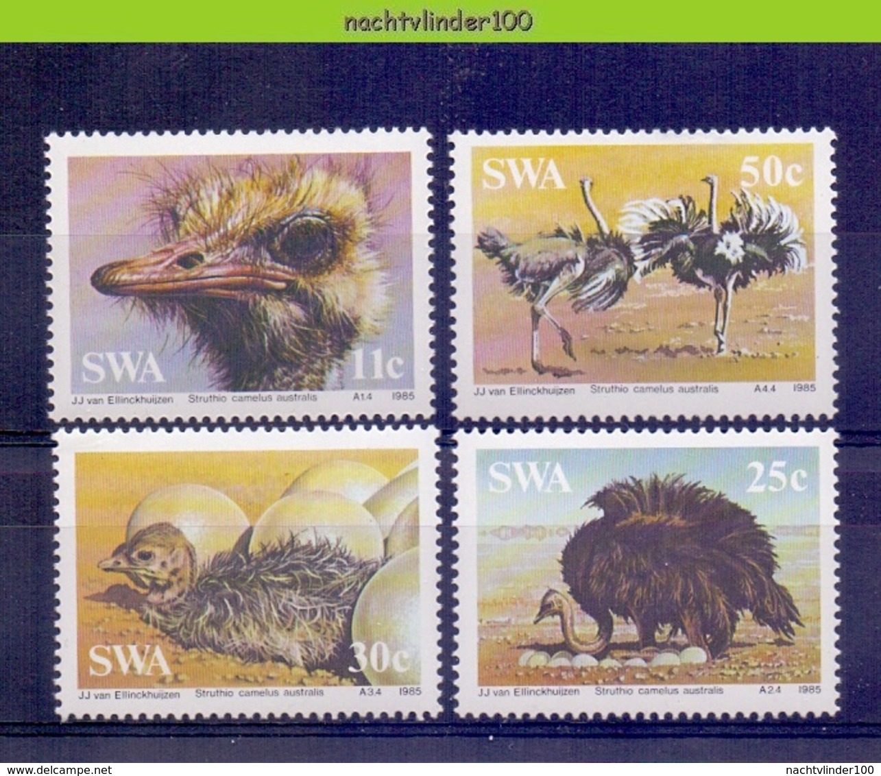 Nev024 FAUNA STRUISVOGELS OSTRICH BIRDS VÖGEL AVES OISEAUX SOUTH WEST AFRICA SWA 1985 PF/MNH - Struisvogels