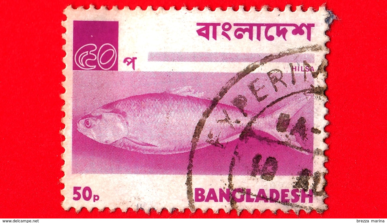 BANGLADESH - Usato - 1973 - Animali ( Fauna ) - Pesci - Hilsa - Ilish Fish (Tenualosa Ilisha) - 50 - Bangladesh