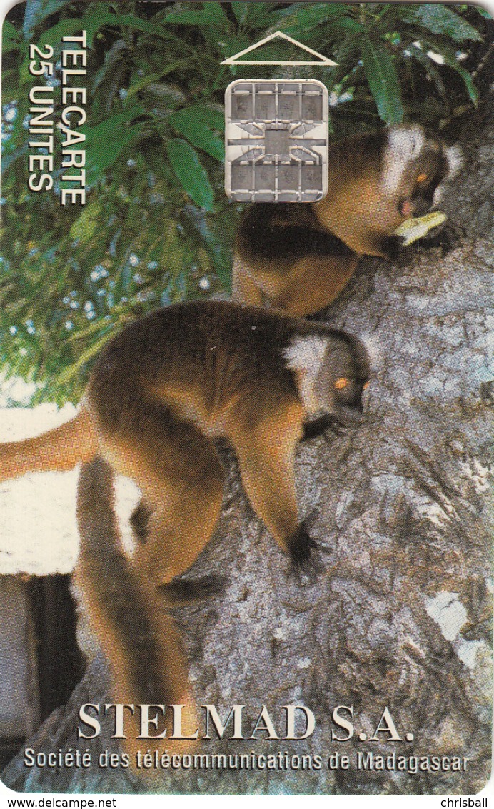 Madagascar Phonecard - Lemur -  Superb Used - Madagascar