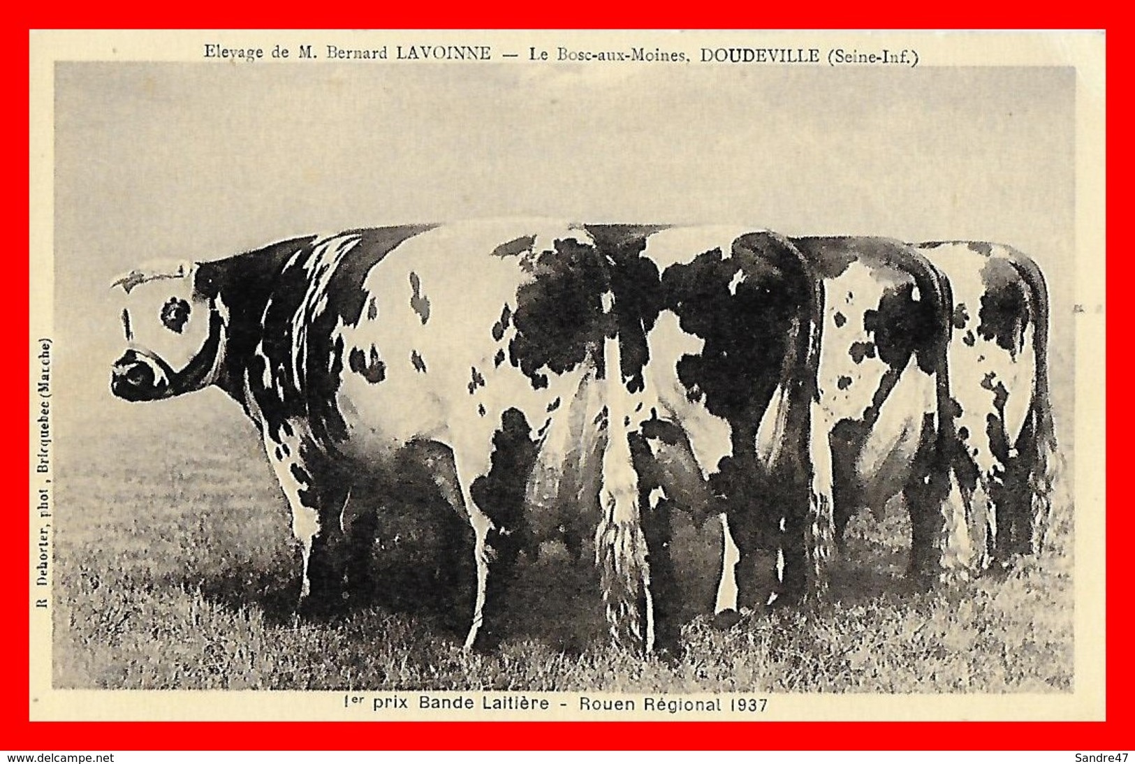 CPA  (76) DOUDEVILLE.  Le Bosc-aux-Moines. Elevage De M. Bernard Lavoinne. 1er Prix Bande Laitière Rouen 1937...E661 - Allevamenti