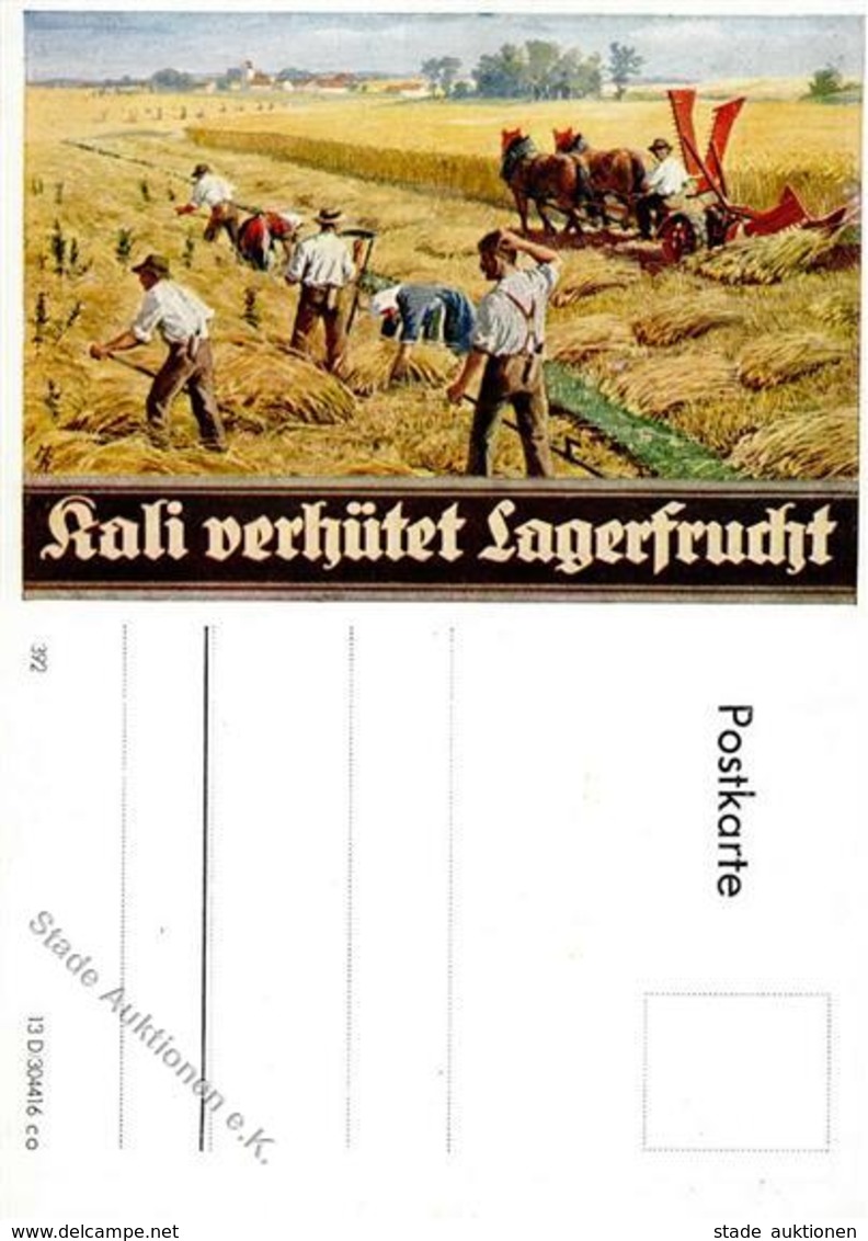 LANDWIRTSCHAFT - KALI-DÜNGER I - Exhibitions