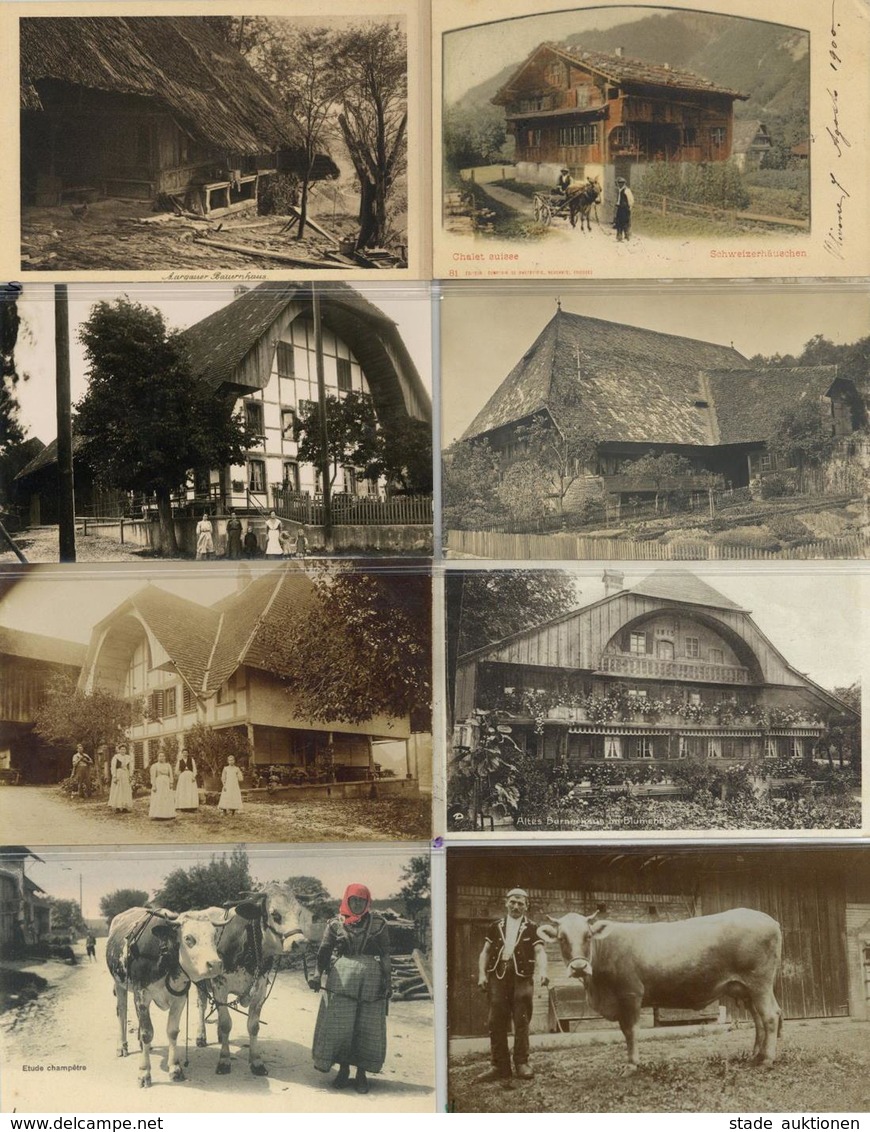 Landwirtschaft Bauernhäuser Und Lanwirtschaftliche Szenen Aus Der Schweiz Partie Von 30 Ansichtskarten I-II Paysans - Ausstellungen
