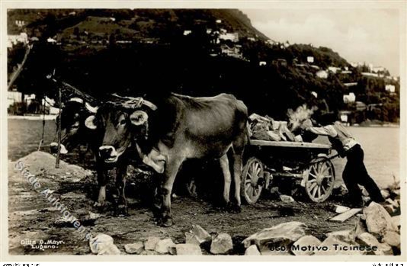 Landwirtschaft Ochsenkarren Foto AK I-II Paysans - Ausstellungen