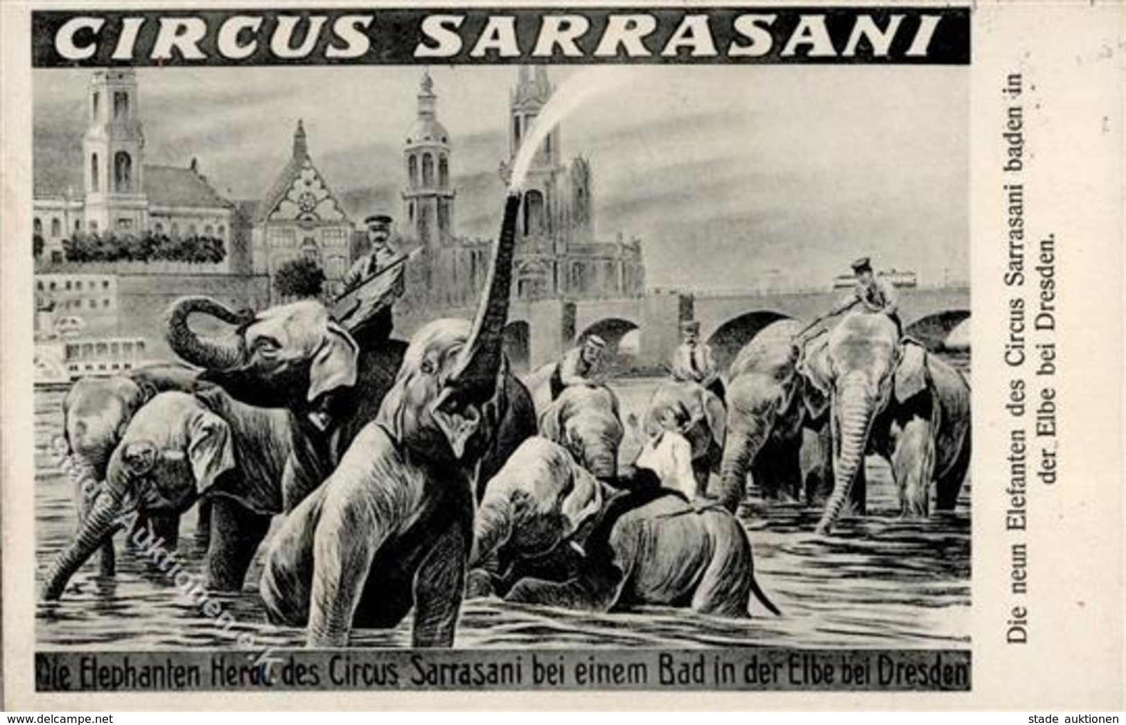 Zirkus Dresden (O8000) Sarasanir Elephanten In Der Elbe 1911 I-II - Cirque