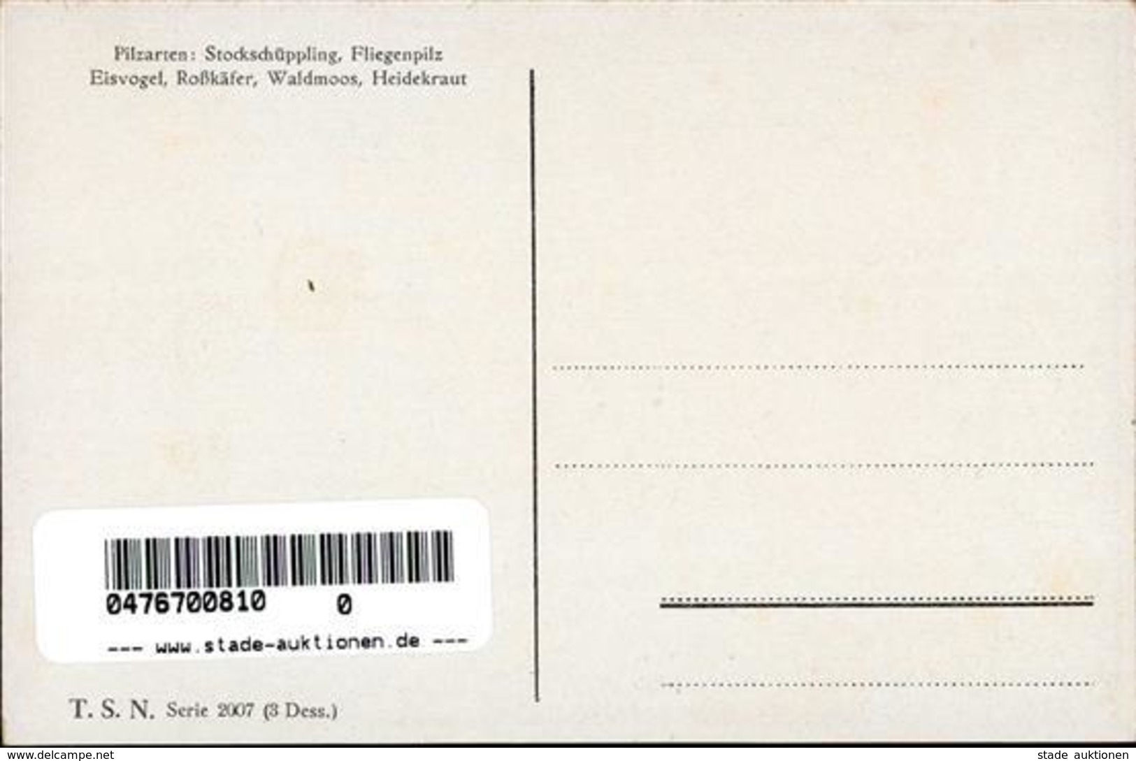 Zwerg Pilze Sign. Wiegand, Martin Verlag TSN 2007 Künstlerkarte I-II Lutin - Märchen, Sagen & Legenden