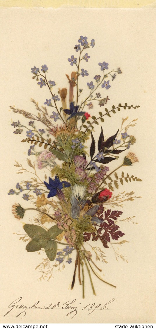 Glückwunsch Hndgemacht Mit Trockenblumen 1896 I-II - Baumgarten, F.