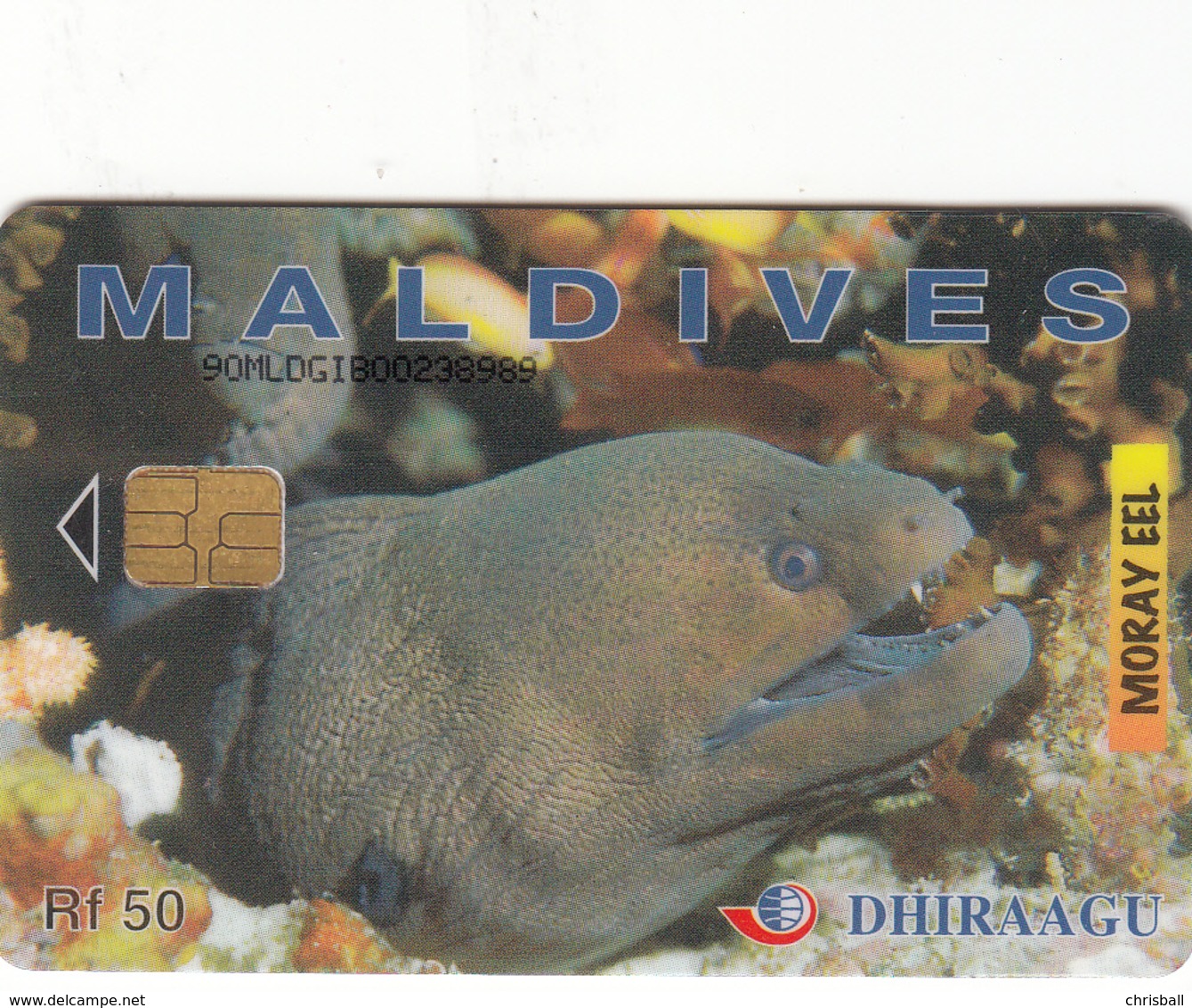 Maldives Phonecard - Moray Eel -  Superb Used - Maldiven