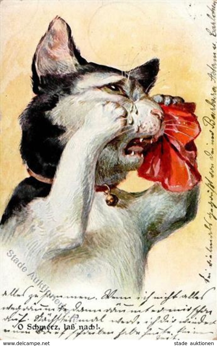 Katze Personifiziert Künstlerkarte 1913 I-II (Marke Teilweise Entfernt) Chat - Cats