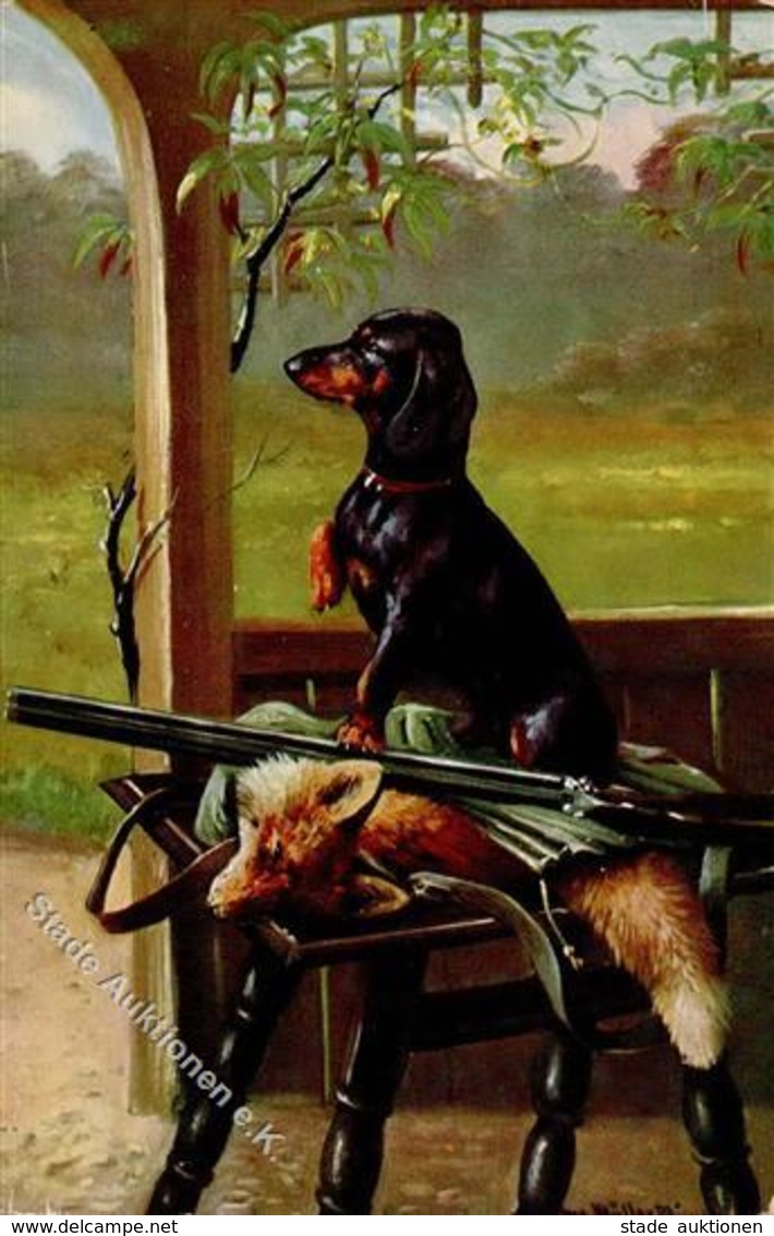 Dackel Jagd Sign. Müller Künstlerkarte 1912 I-II Chasse - Dogs