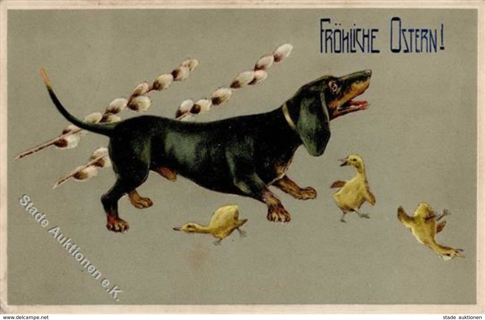 Dackel Küken 1910 I-II - Hunde
