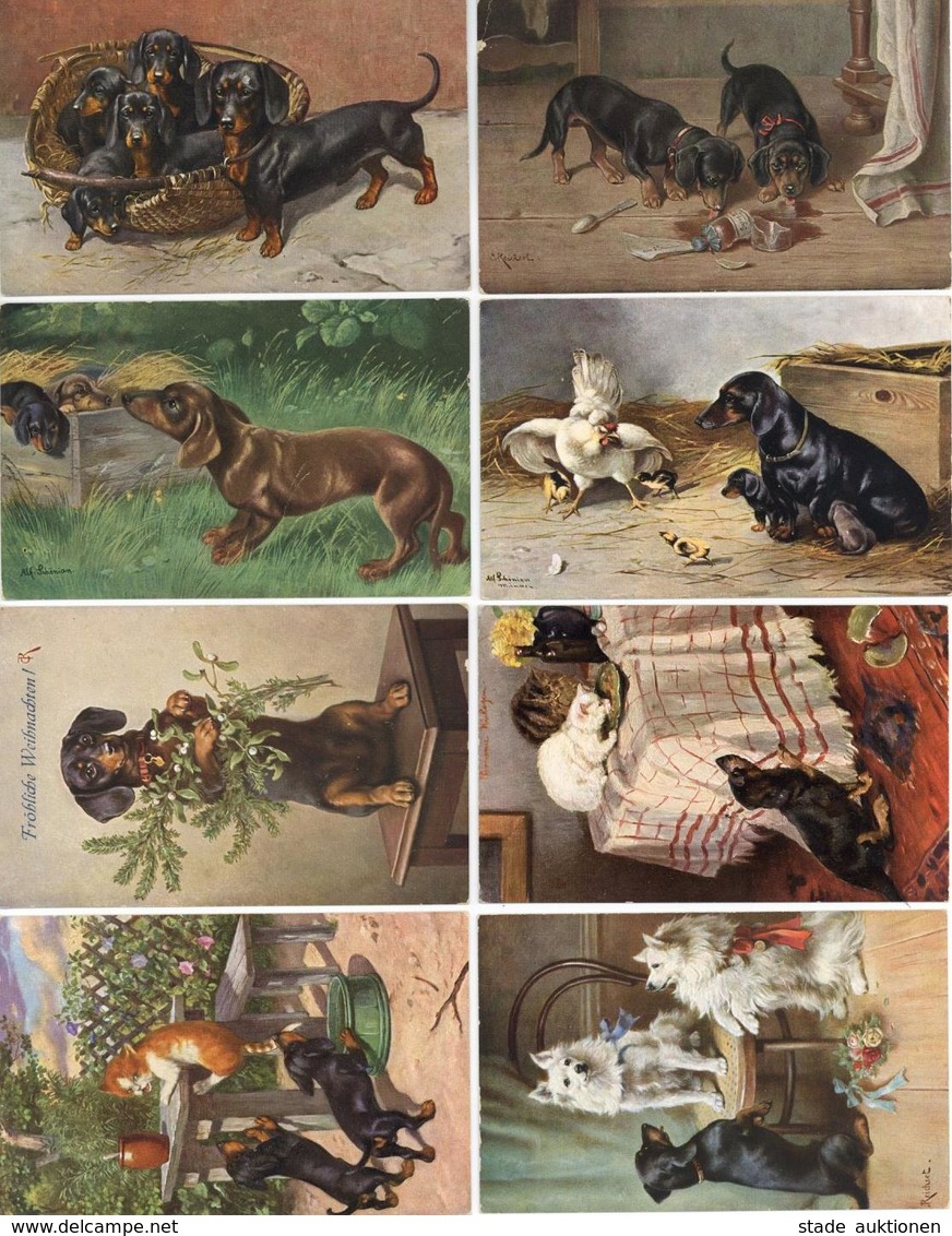 Dackel Partie Von 15 Ansichtskarten I-II - Hunde