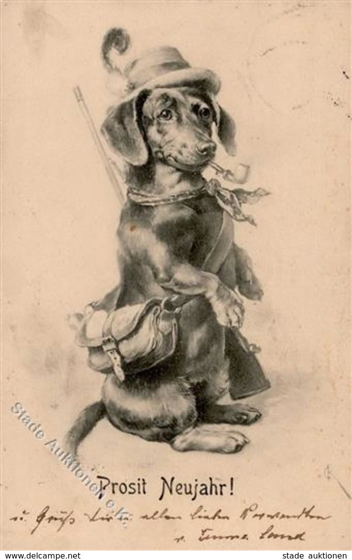 Dackel Personifiziert Sign. Reichert, C. Verlag TSN 3 Künstlerkarte 1905 I-II - Dogs