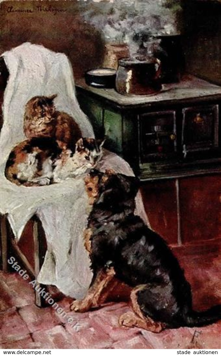 Hund Katzen Verlag TSN 448 Künstlerkarte 1906 I-II Chat Chien - Dogs