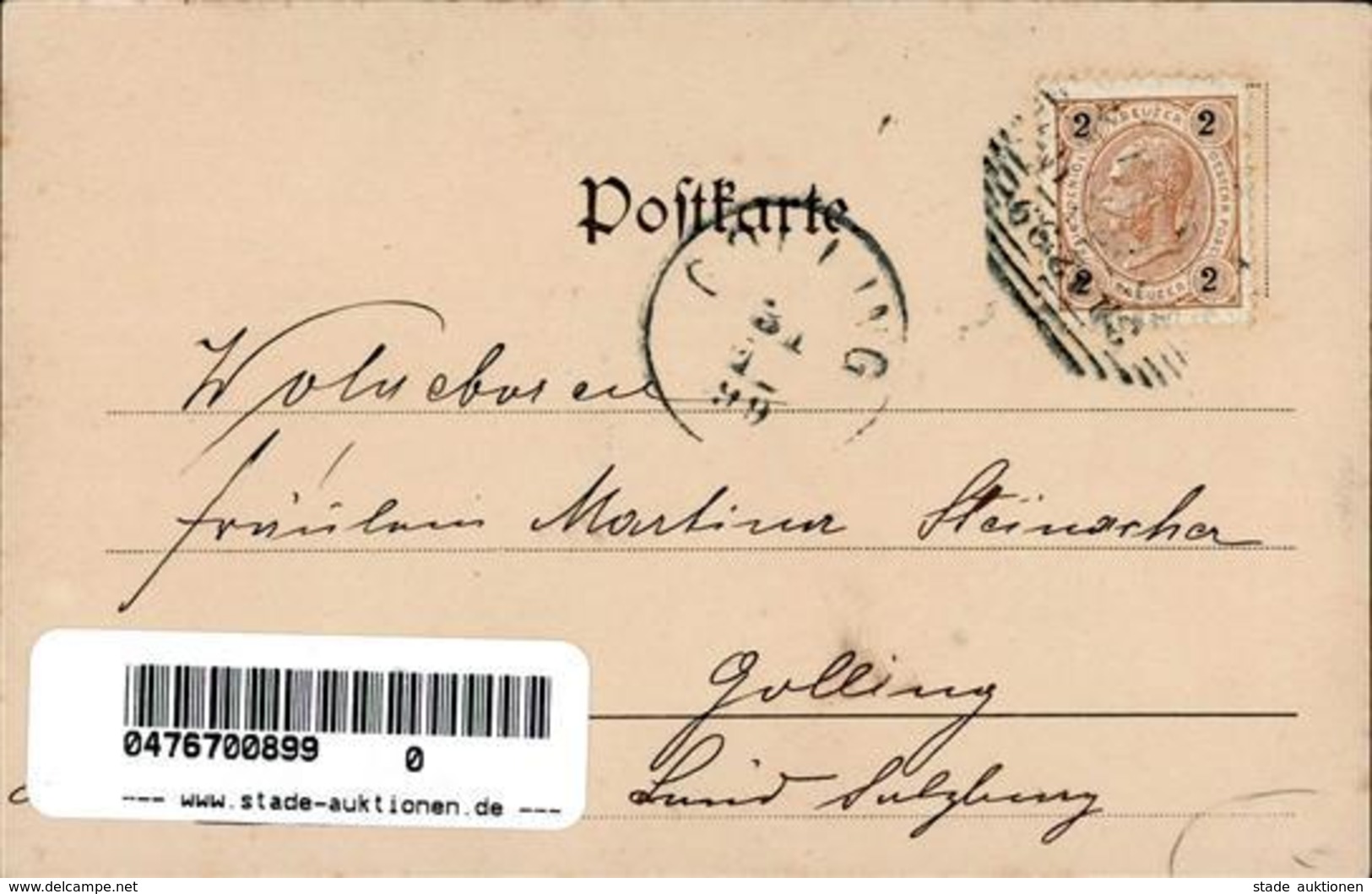 Schwein Frau Neujahr TSN 1008 Künstlerkarte 1899 I-II Cochon Bonne Annee - Sonstige & Ohne Zuordnung
