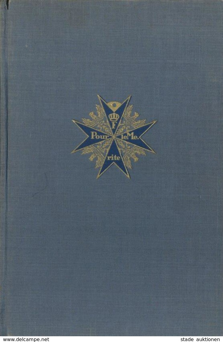 Buch WK I Pour Le Merite Flieger Zuerl, Walter 1938 Verlag Curt Pechstein 524 Seiten Viele Abbildungen II (fleckig) - Guerra 1914-18