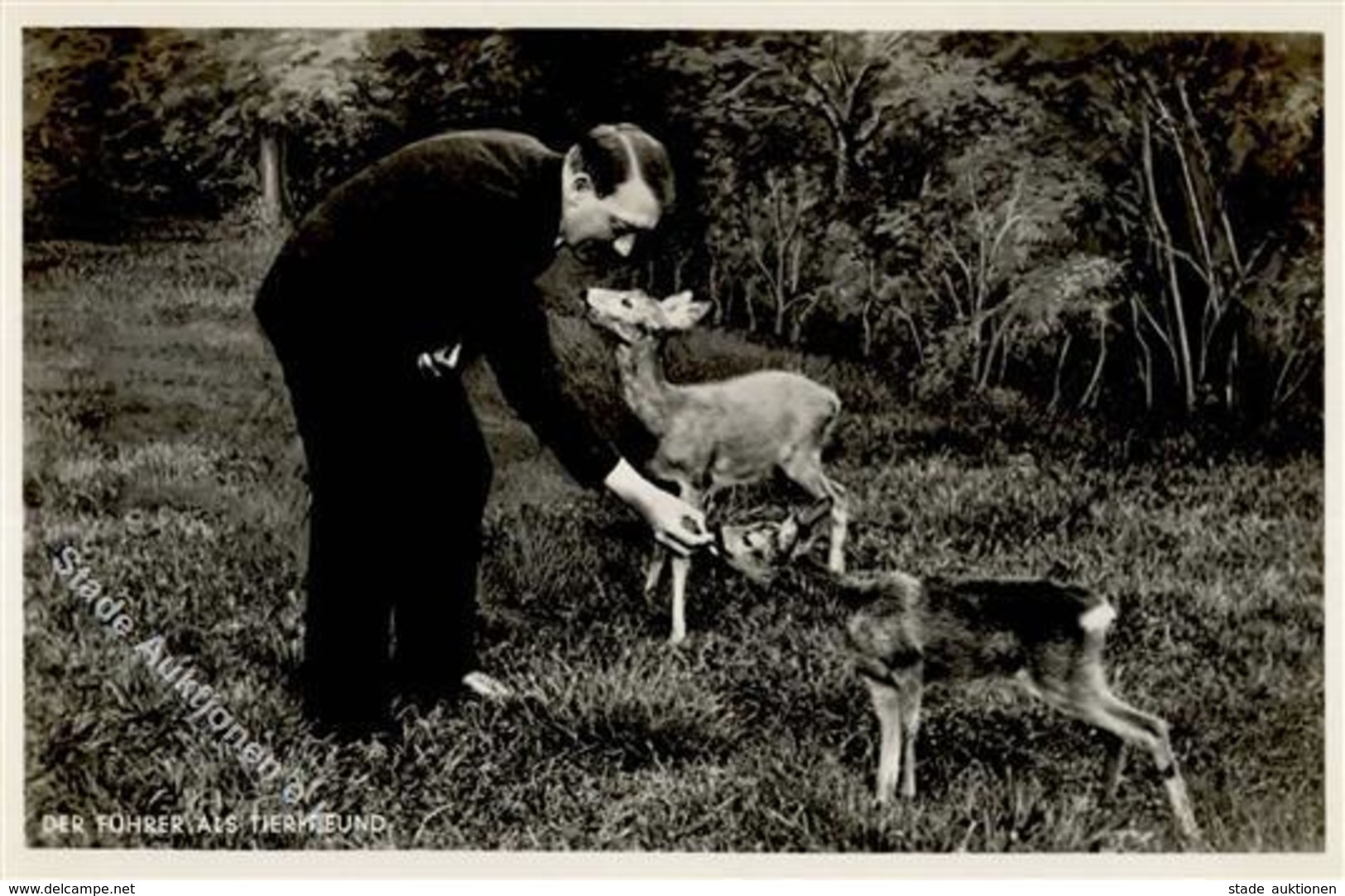 HITLER WK II - PH 374 I - Guerre 1939-45