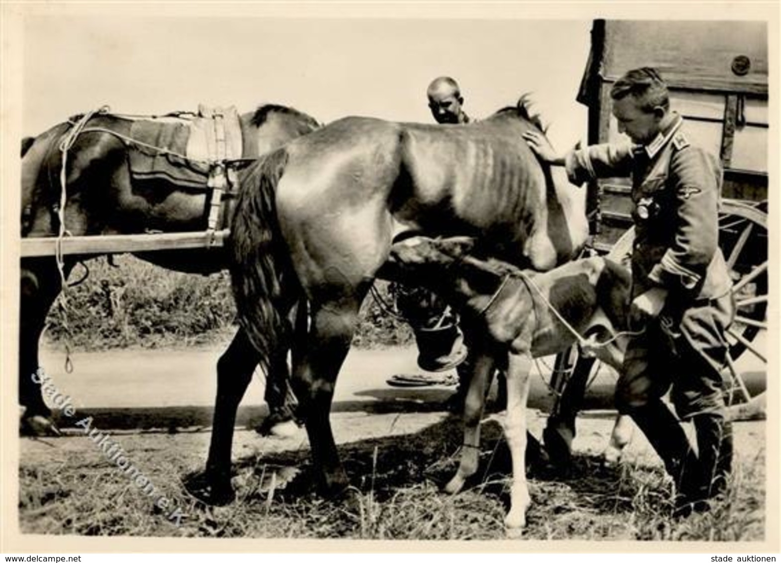 SS Unsere Waffen SS I-II - Guerre 1939-45