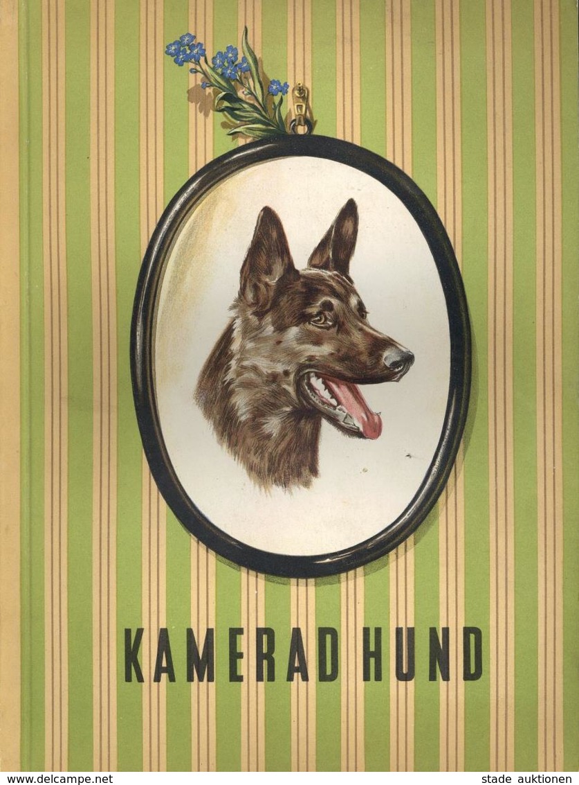 Sammelbild-Album Kamerad Hund Tabakwaren GmbH München Kompl. II Chien - Guerre 1939-45