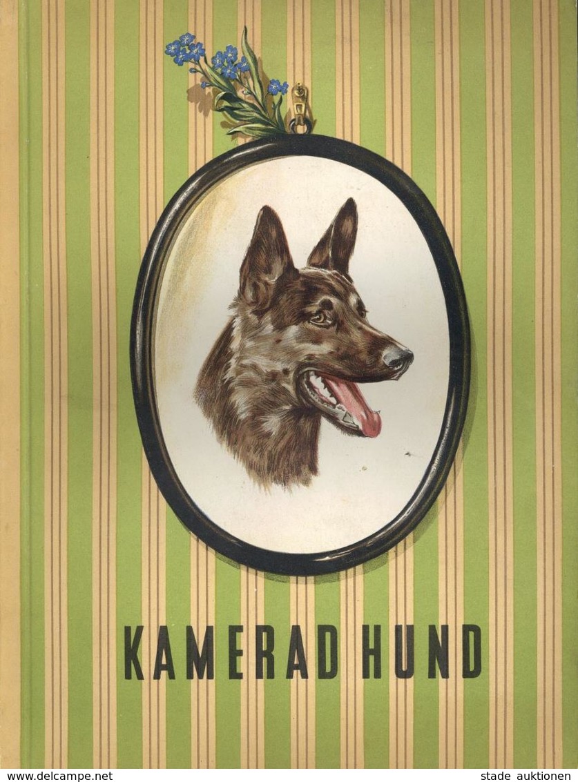 Sammelbild-Album Kamerad Hund Tabakwaren GmbH München Kompl. II Chien - Weltkrieg 1939-45
