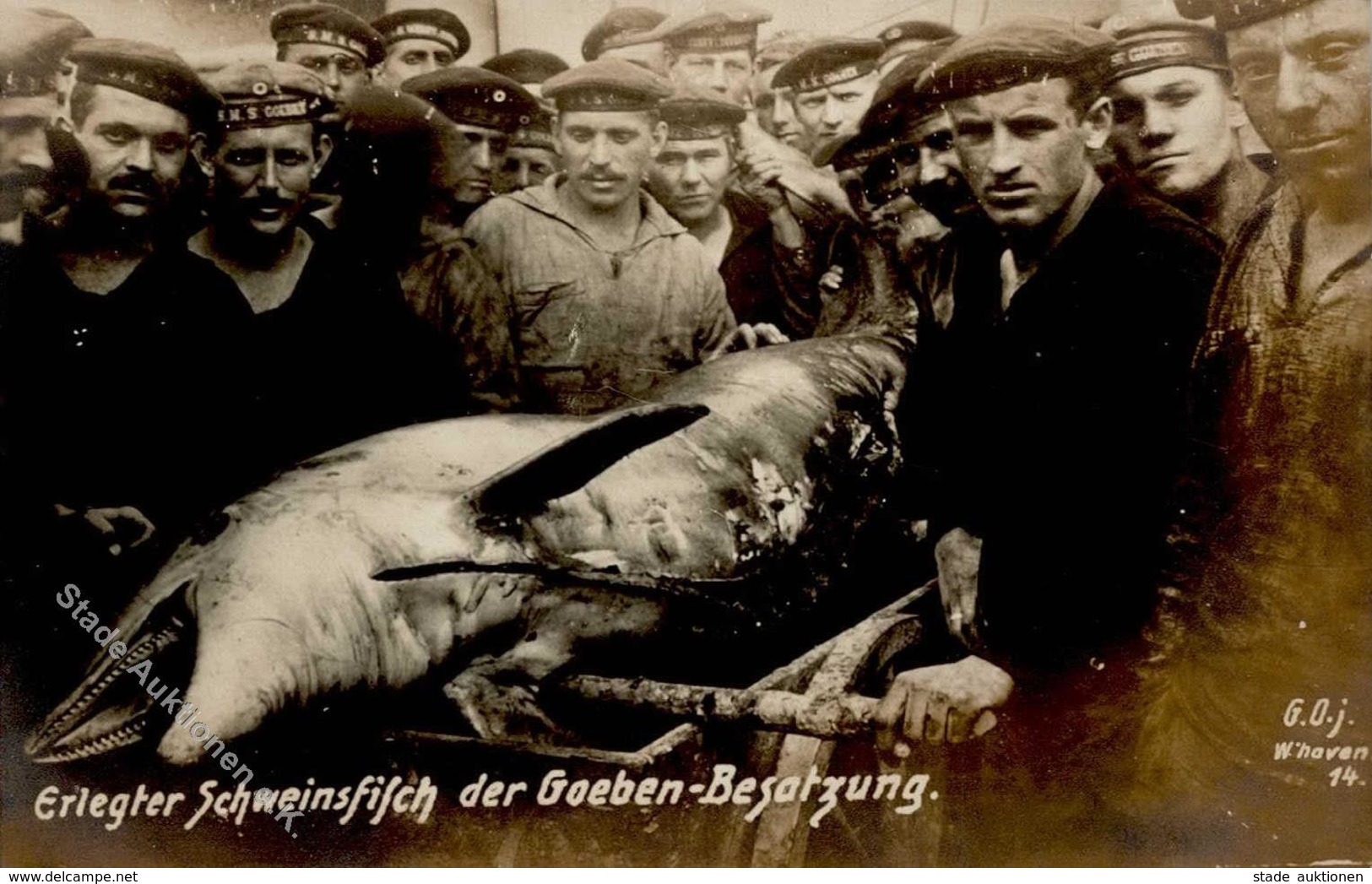 Marine SMS Goeben Besatzung Mit Erlegtem Schweinsfisch Foto AK I-II - Marines