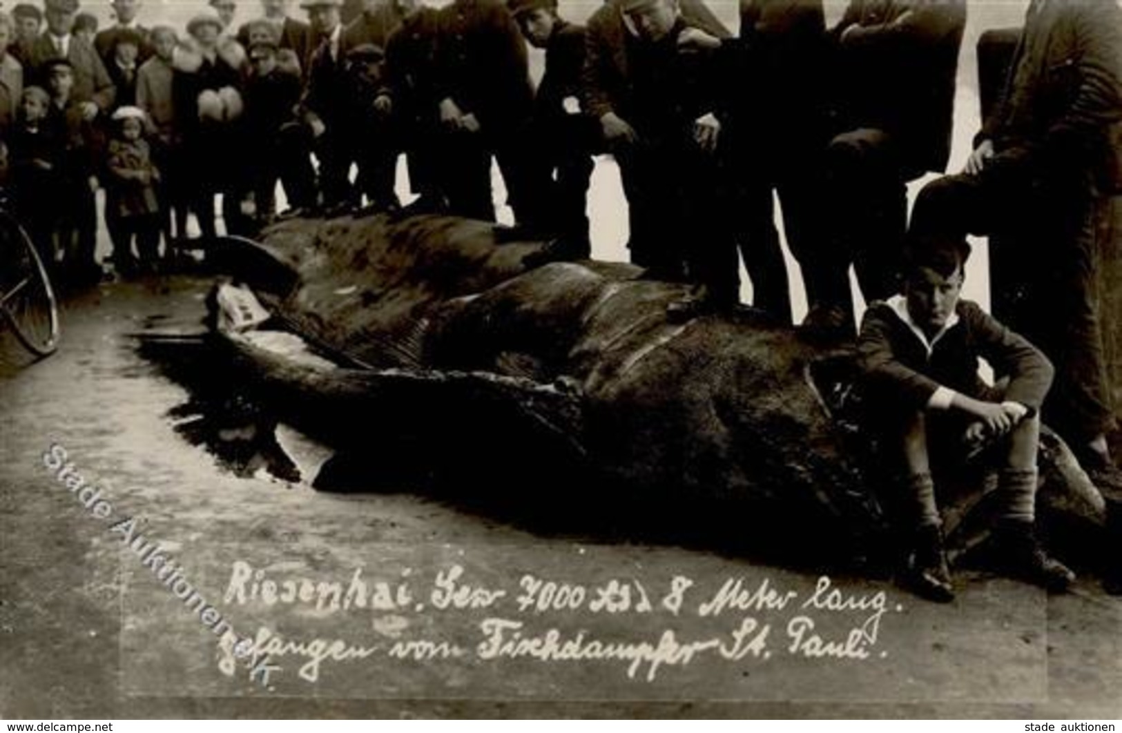 Fischerboot Fischdampfer St. Pauli Besatzung Mit Riesenhai Foto AK I-II - Guerra