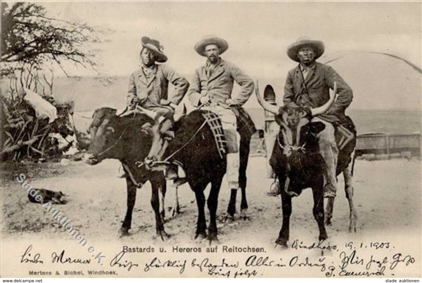 Kolonien Deutsch Südwestafrika Bastards U. Hereros Auf Reitochsen 1903 I-II Colonies - Histoire