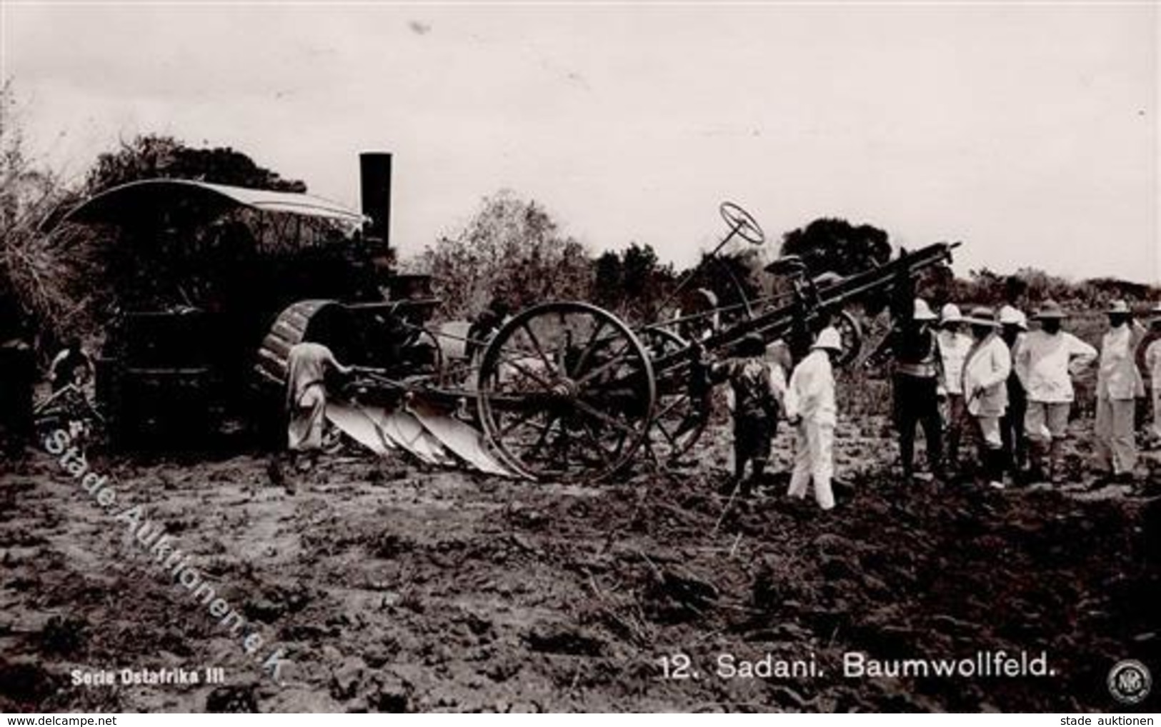 Kolonien Deutsch Ostafrika Sadani Baumwollfeld I-II Colonies - History