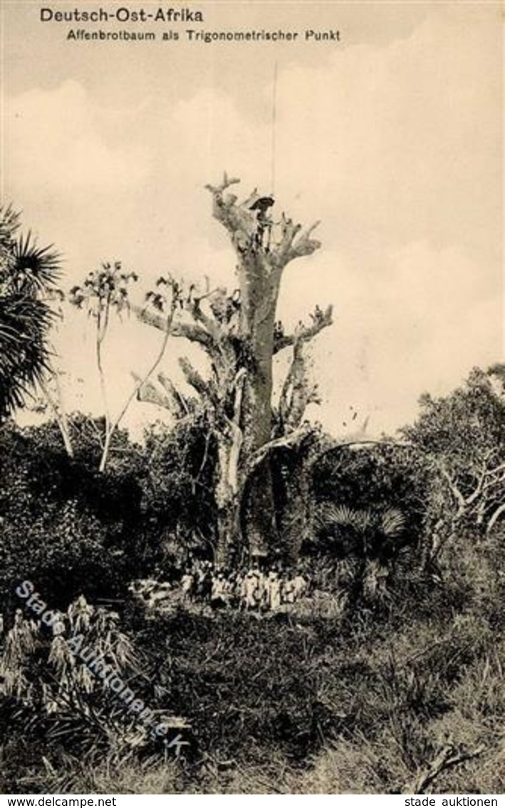 Kolonien Deutsch-Ostafrika Affenbrotbaum Stpl. Morogoro 1.1.08 I-II Colonies - Histoire
