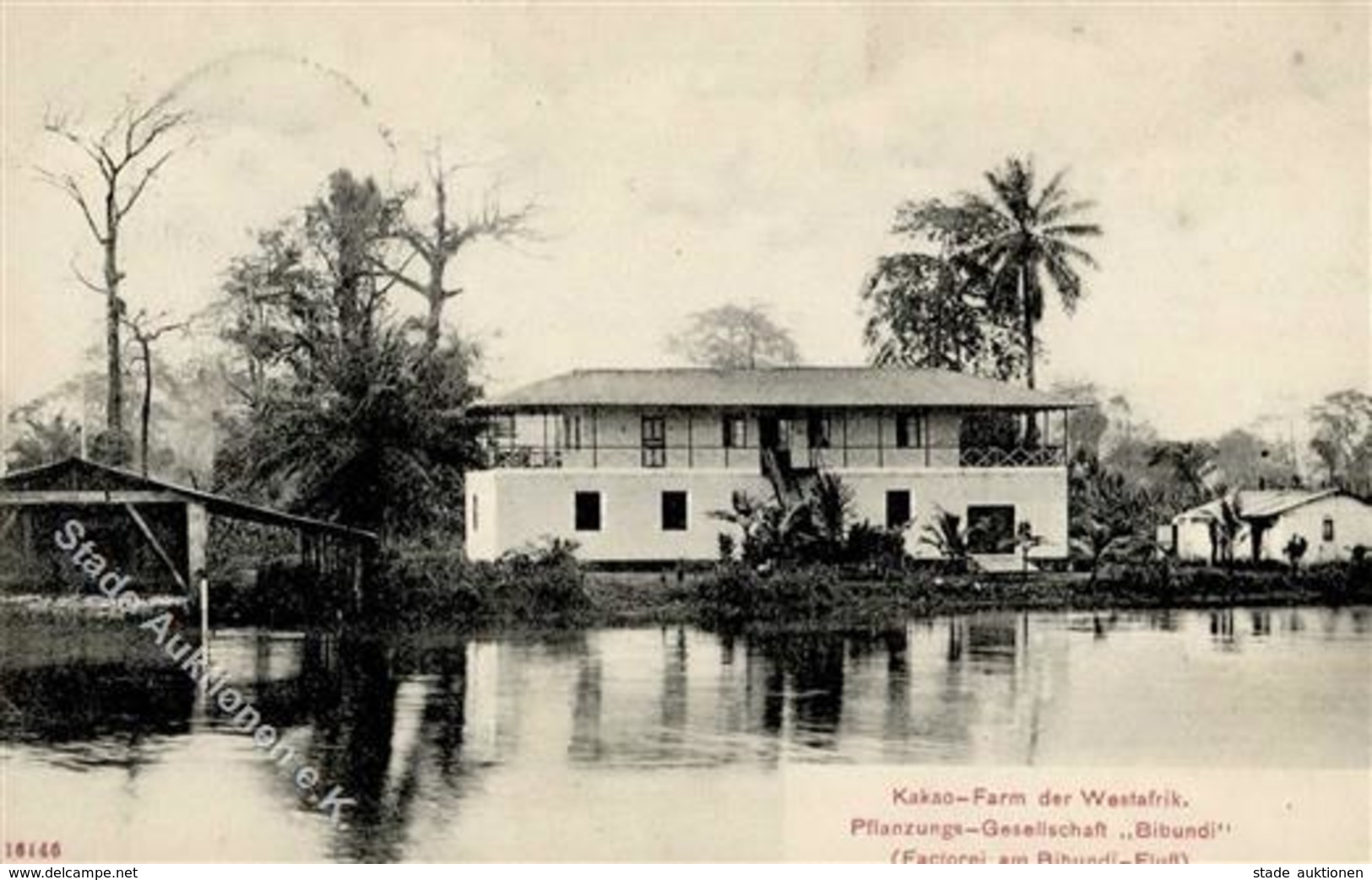 Kolonien KAMERUN - Kakao-Farm BIBUNDI I Colonies - History