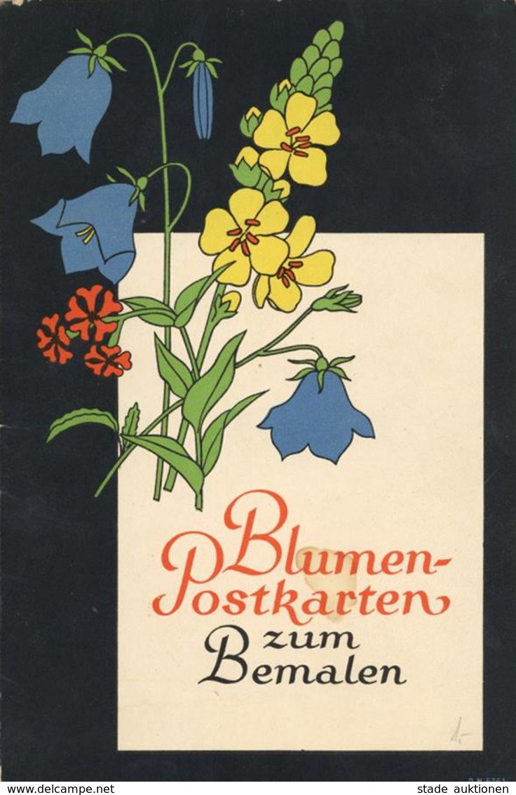 AK-Geschichte Blumen Postkarten Zum Bemalen II - Histoire