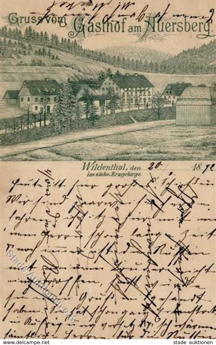 Vorläufer 1892 WILDENTHAL,sächs.Erzgeb. - Gruss V. Gasthof Am Auersberg I-II Montagnes - Ohne Zuordnung