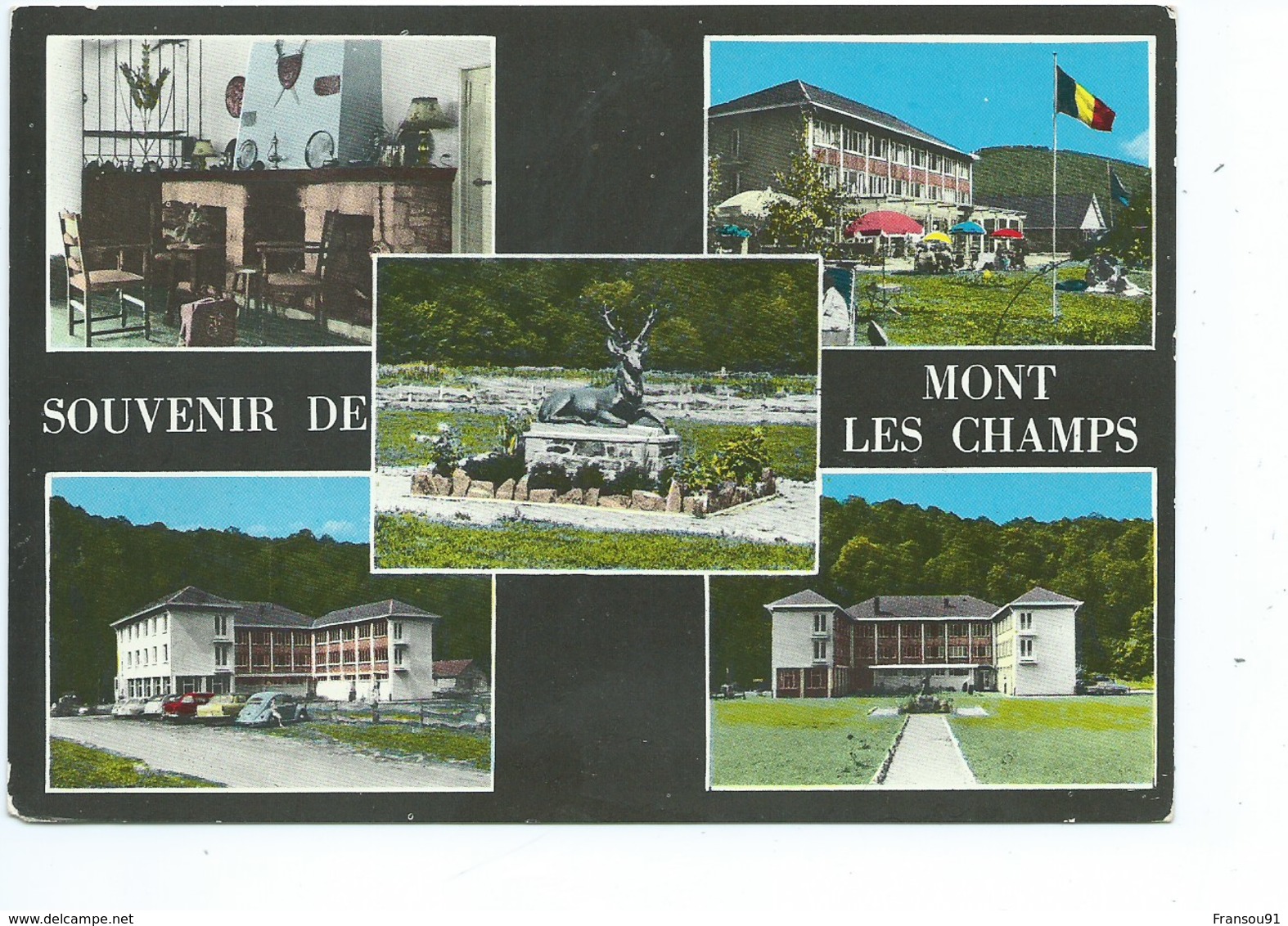 Mont Les Champs Souvenir ( VW Cox ) - Vresse-sur-Semois