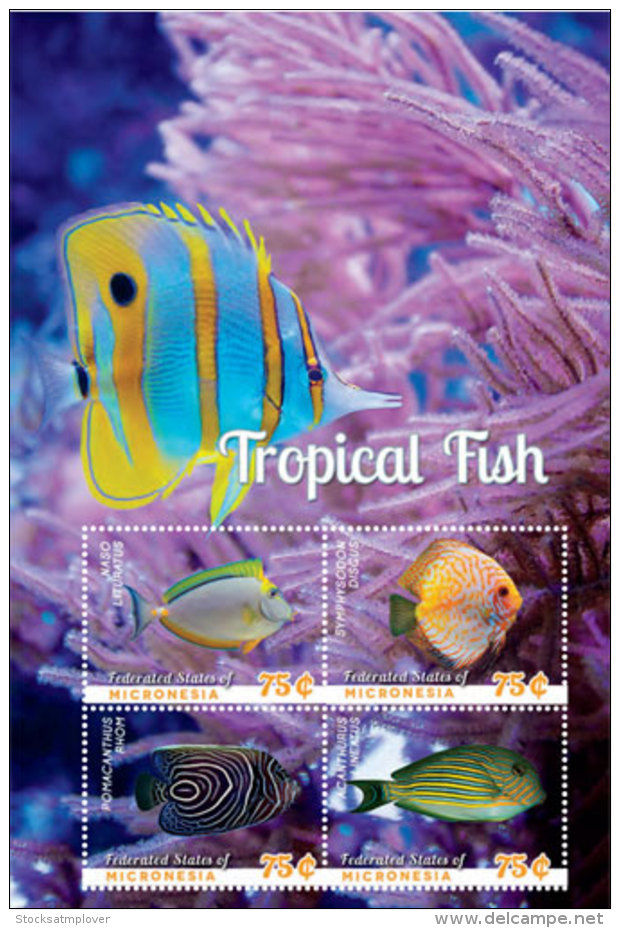 Micronesia 2014 Fish Marine Life Tropical Fish    I201805 - Micronesia