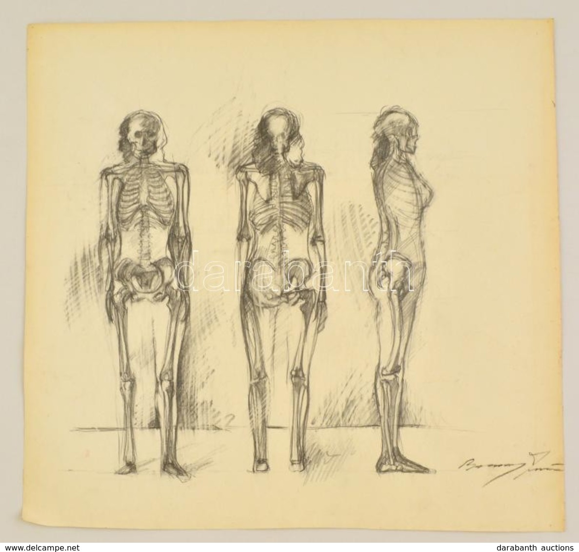 Barcsay Jelzéssel: Csontváz Tanulmány. Szén, Papír, 50×50 Cm - Other & Unclassified