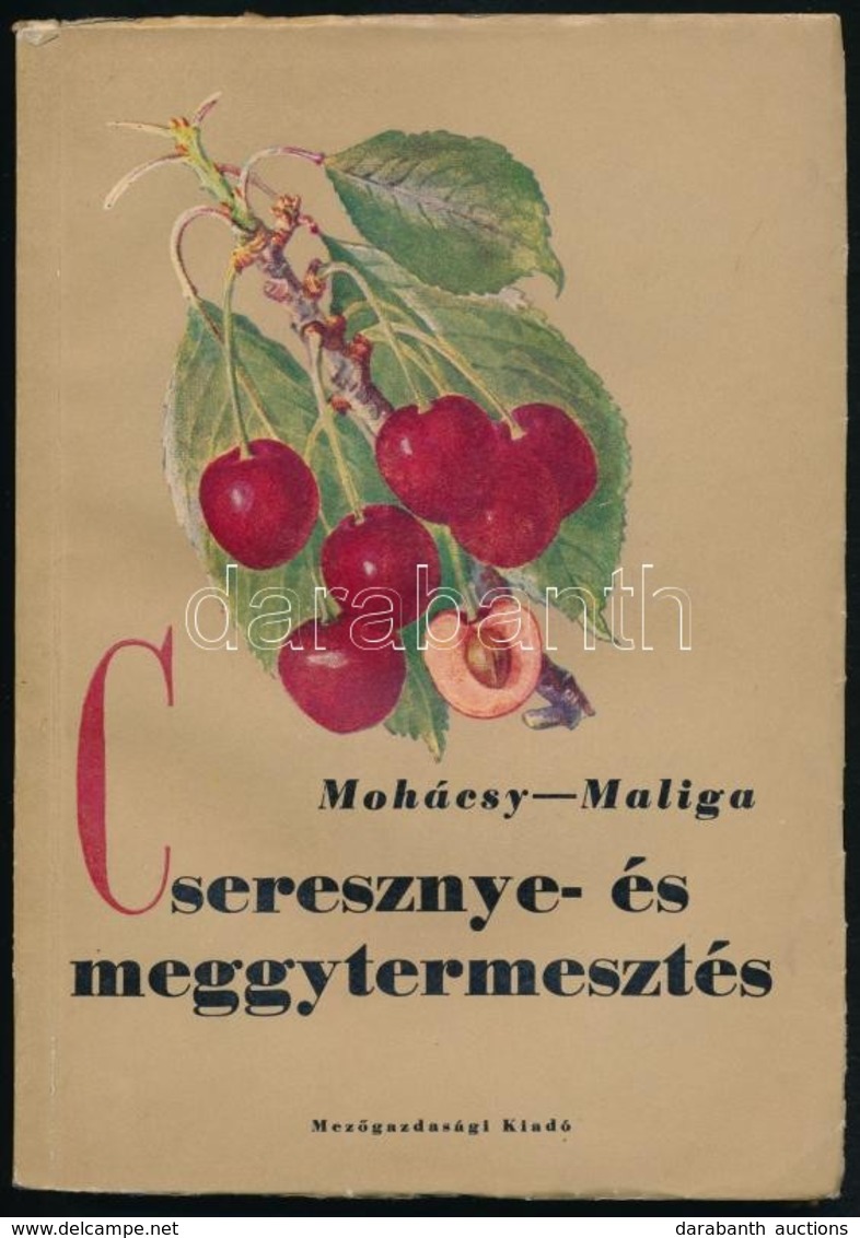 Mohácsy Mátyás-Maliga Pál: Cseresznye- és Meggytermesztés. Bp.,1956, Mez?gazdasági. Kiadói Papírkötés. Megjelent 3200 Pé - Unclassified