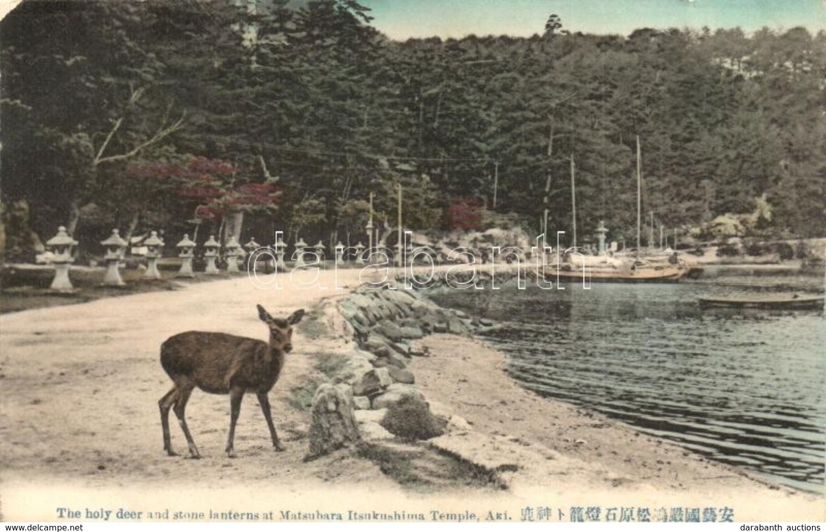** T2 Aki, Holy Deer And Stone Lanterns At Matsubara Itsukushima Temple - Unclassified
