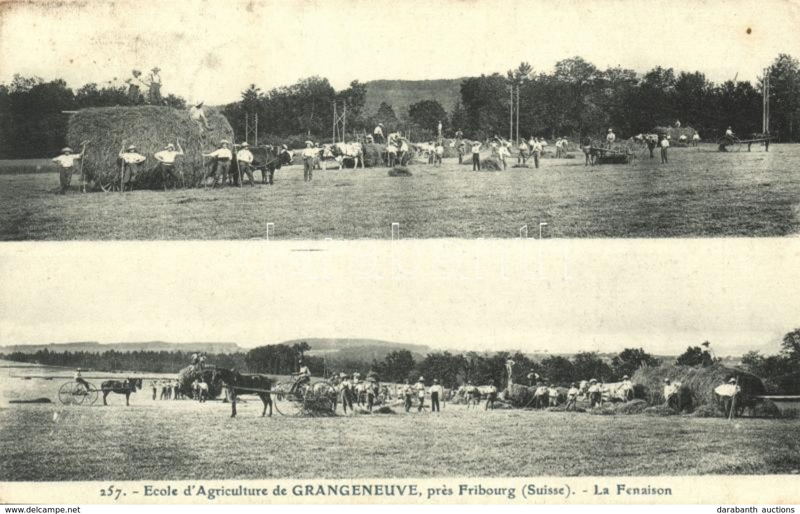 T2 Fribourg, Ecole D'Agriculture De Grangeneuve / Agricultural School, Haymaking - Unclassified