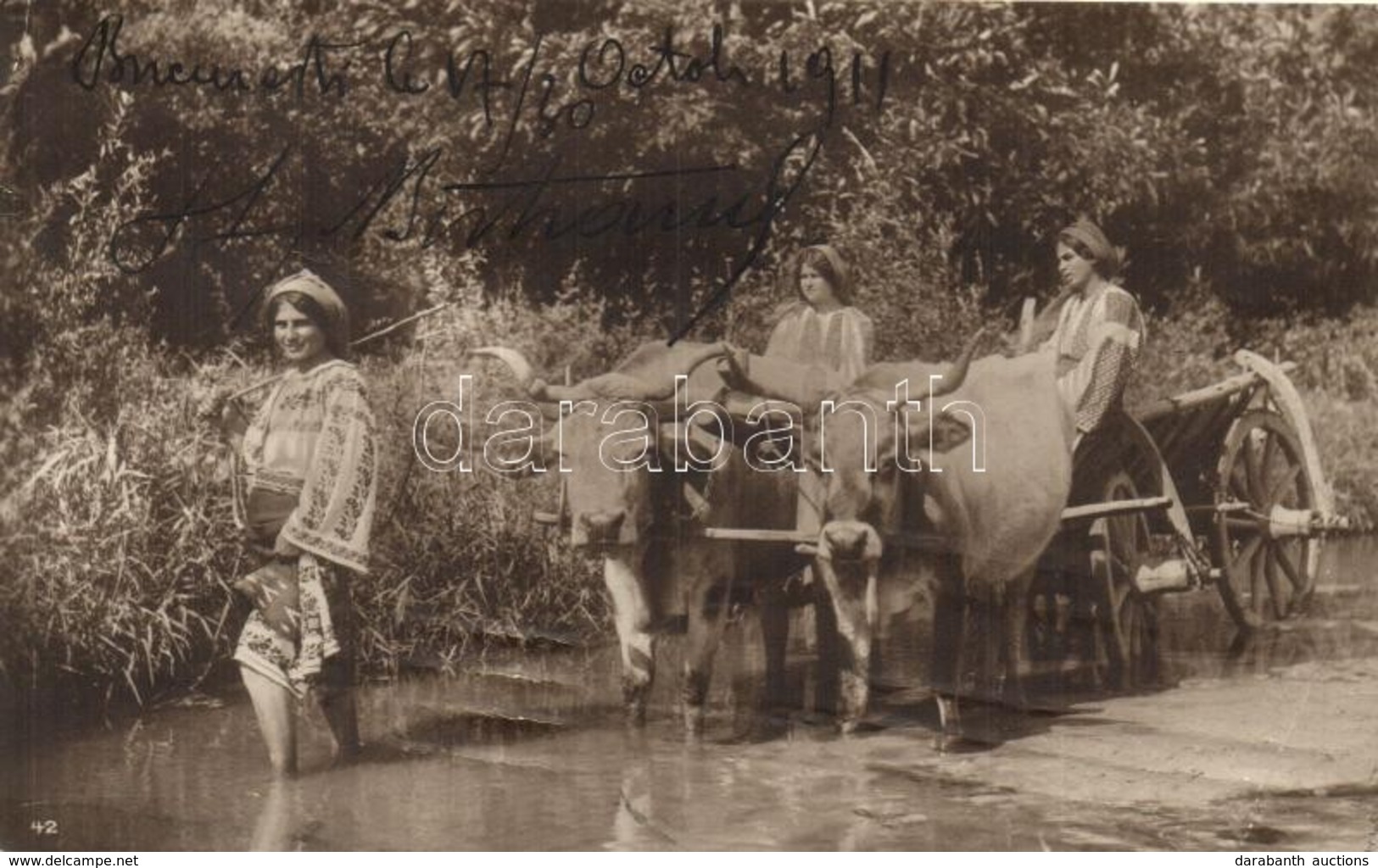 T2 1911 Romanian Folklore, Women With Oxen Cart, Photo - Unclassified